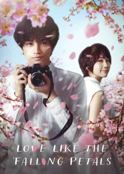Tình yêu như cánh hoa rơi (Love Like the Falling Petals) [2022]
