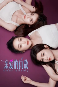 Kẻ Thù Thân Yêu (Dear Enemy) [2025]