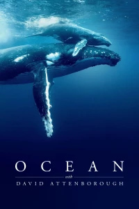 Ocean with David Attenborough (Ocean with David Attenborough) [2025]